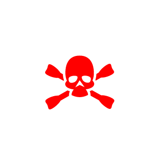 vini_temirei's emblem