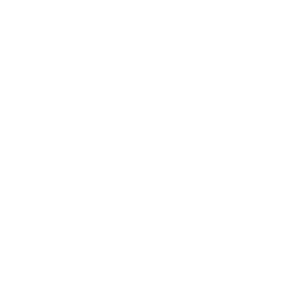 YungoDionix's emblem
