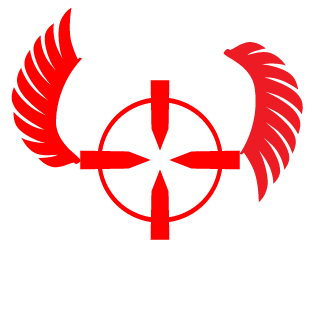 mrrob0t20's emblem