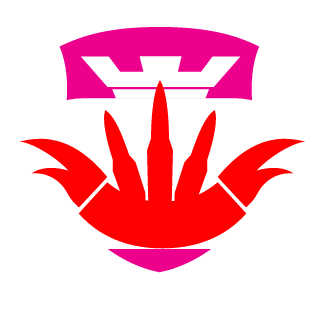 Nexanti's emblem