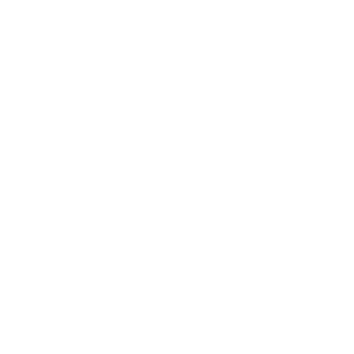 LCMasterSpark's emblem