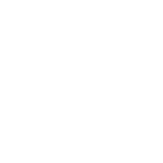 66-Raptor-11's emblem