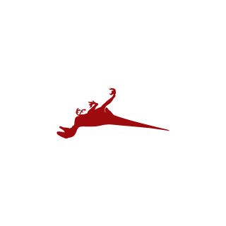 tawhid_rifat's emblem