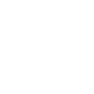 sameersadi's emblem