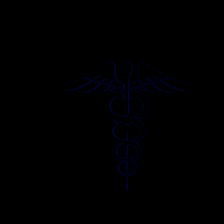 iazs10's emblem