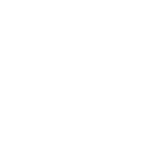 SAC_Hyeon's emblem