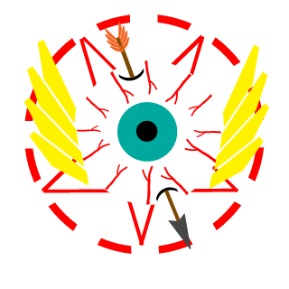 InfectedR3ctum's emblem