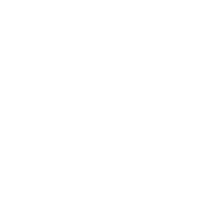 punisher08500's emblem
