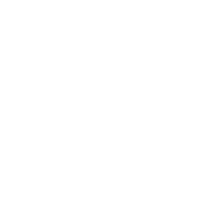 Magnificus1990's emblem