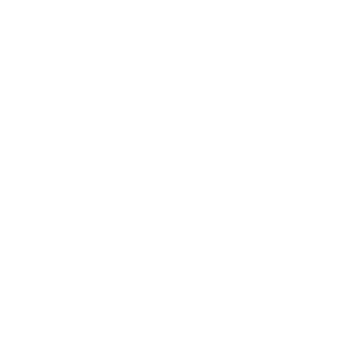 SNWx0's emblem