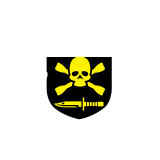 Black_Viking-85's emblem