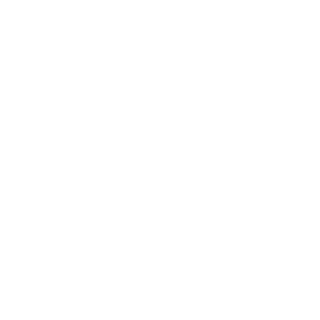 alinaner's emblem