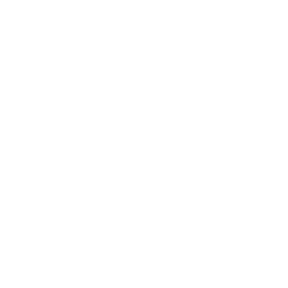 D1MM4's emblem