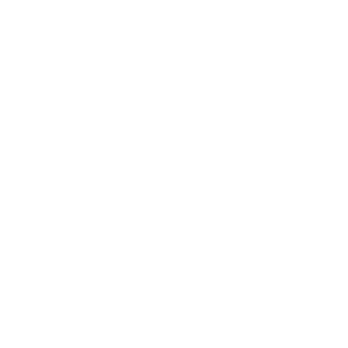 raphael_br26's emblem
