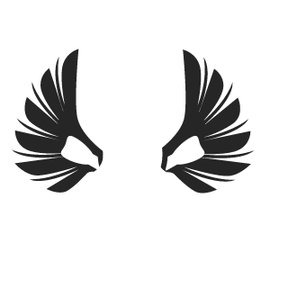 5d1b3a3cfbfe0888's emblem