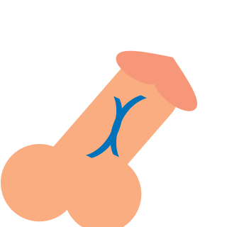 Prozert's emblem