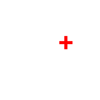 45b963730566e984's emblem