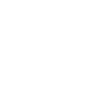 BrQ2013's emblem