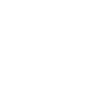 DEV45T4TION's emblem