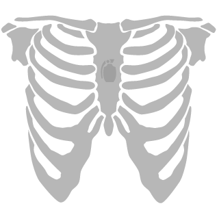 choppergoesbrrr's emblem