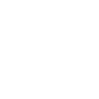 LucassR196's emblem