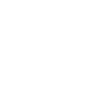 DingThyDong's emblem