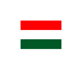 CsoroMaqni's emblem