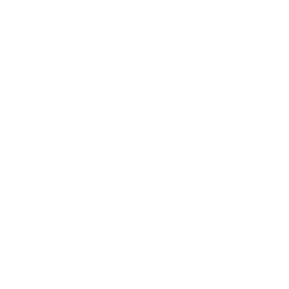 lightmint1's emblem