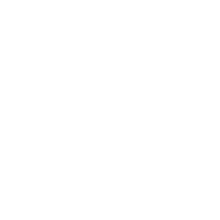 2XnO's emblem
