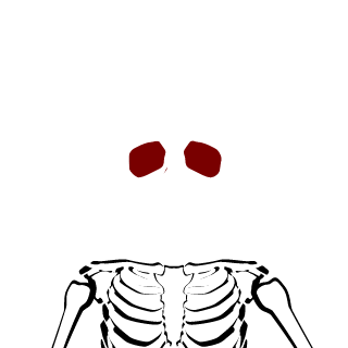xRNZz's emblem