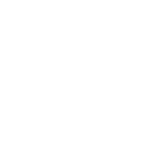 Mr Car1os's emblem