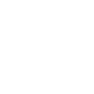 Alpaca20's emblem
