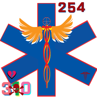 RedHedLizGirl's emblem