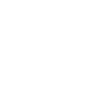 19insane1909's emblem