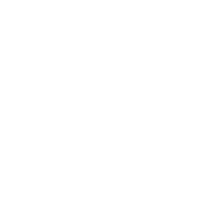 RedVirus_NS's emblem