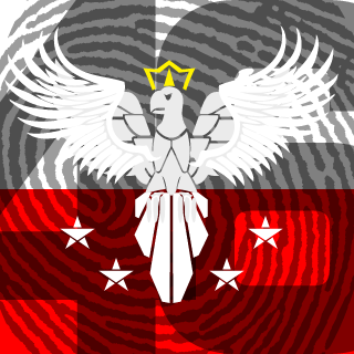 TheAraN46's emblem