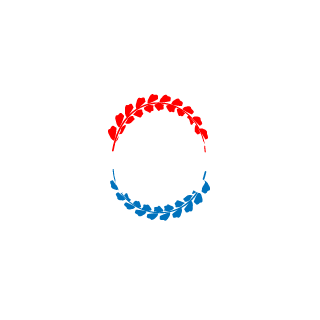 BR4MV's emblem