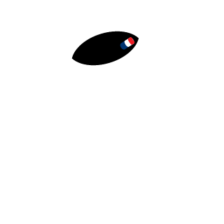 TacticalHog's emblem