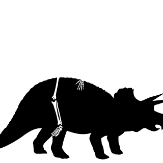 xXBosdaXx's emblem