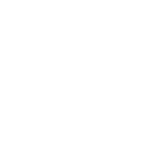 Biom4n's emblem