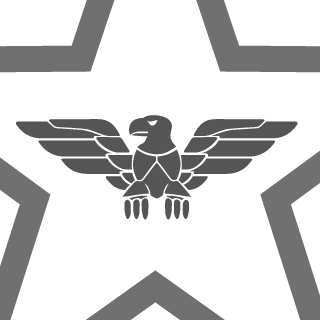 Raider99v99's emblem