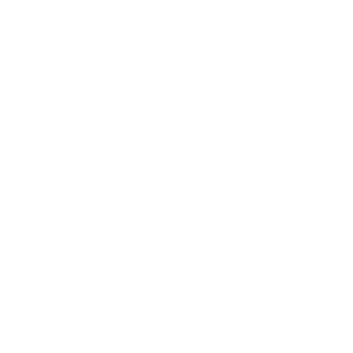 Slippy_Plappy's emblem