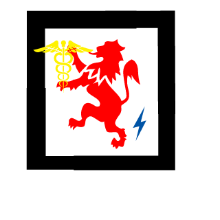CsabHii's emblem