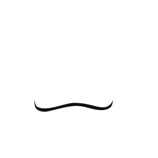 ninja 2na's emblem