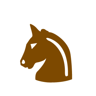 ChocoKnight's emblem