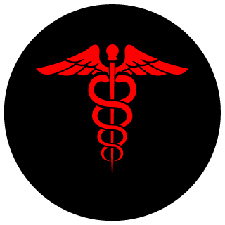 papartizan's emblem