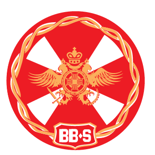 Internal troops Team S's emblem