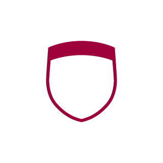 BaddiRGV's emblem