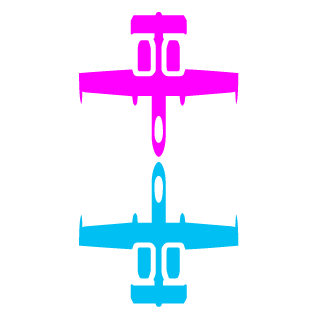 -S55-'s emblem