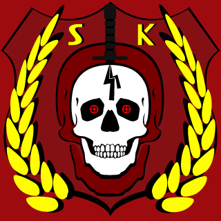 ChillinVillainPL's emblem